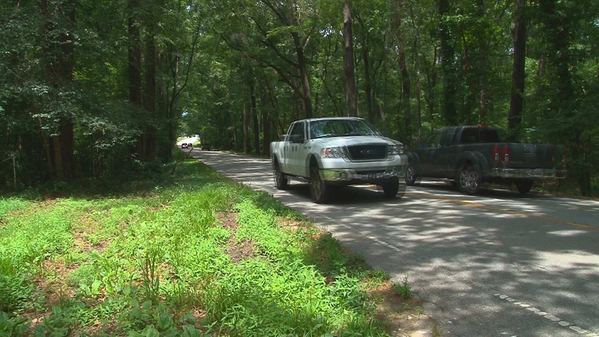 Town Works to Save the Scenery on Lexington Road
